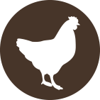 chicken icon