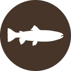 fish icon