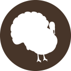 Turkey icon